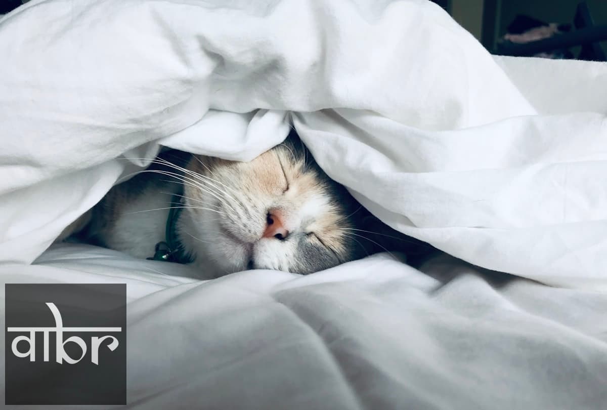 How to Sleep Better Naturally: Science-Backed Strategies